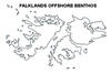 Marine Fauna and Flora of the Falkland Islands